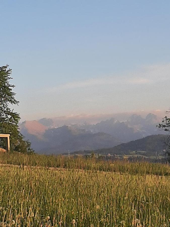 Villa Krzesanica Czarna Góra Buitenkant foto