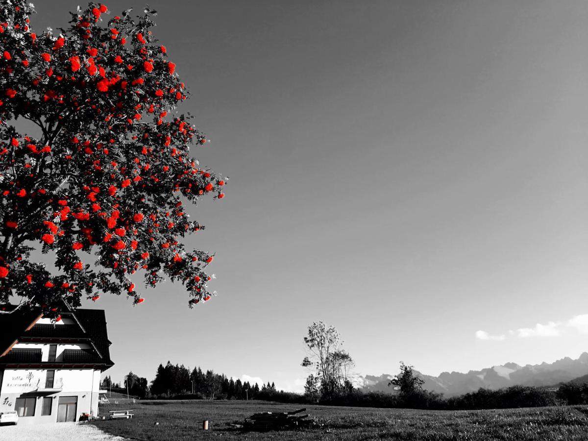 Villa Krzesanica Czarna Góra Buitenkant foto